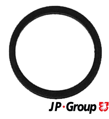 Seal ring, injector