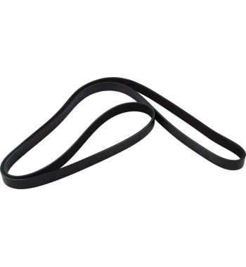 V-Ribbed Belt