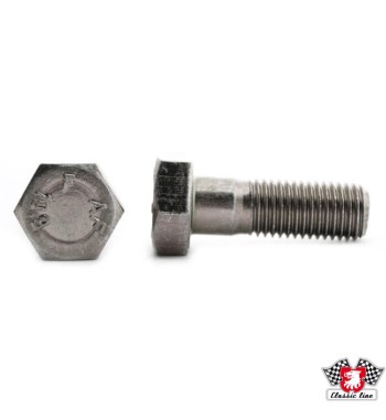 Bolt, brake caliper, 1-circuit