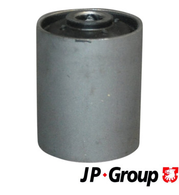 Bush, leaf spring