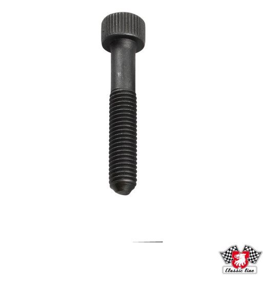 Śruba do przegubu homokinetycznego, M8x48 mm
Śruba do przegubu homokinetycznego, M8x48 mm