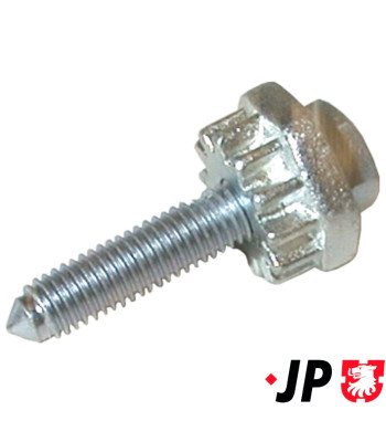 Tensioner Bolt, alternator mounting
