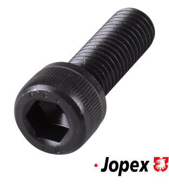 Mounting bolt for brake caliper front, M10x30x1.5 mm, strength class 12.9, hex socket head