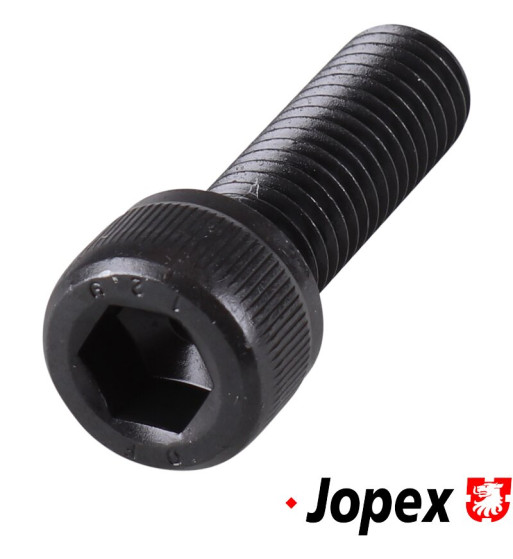 Mounting bolt for brake caliper front, M10x30x1.5 mm, strength class 12.9, hex socket head Mounting bolt for brake caliper front, M10x30x1.5 mm, strength class 12.9, hex socket head