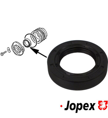 Oil seal for differential