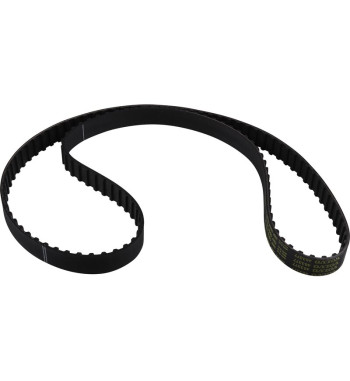 Toothed timing belt, T123, L1171 mm, W19 mm