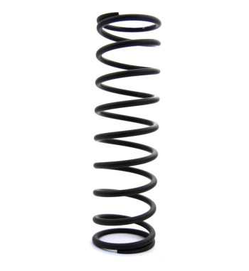 Coil spring, rear