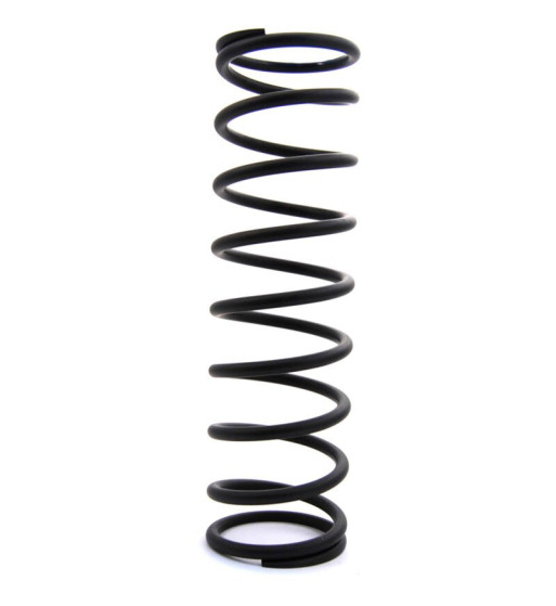 Coil spring, rear