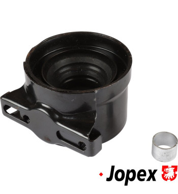 Engine mount, rear