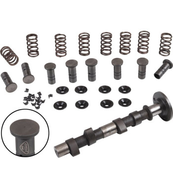 Engle racing master camshaft set, W-100, single springs, with phosphate coated cam followers with EDM hole