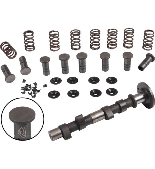 Engle racing master camshaft set, W-100, single springs, with phosphate coated cam followers with EDM hole