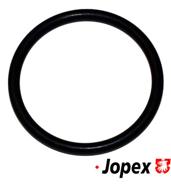 Seal for thermostat