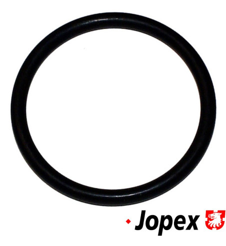 Seal for thermostat
