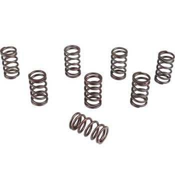 Valve spring set, single, High Performance, 8 pieces