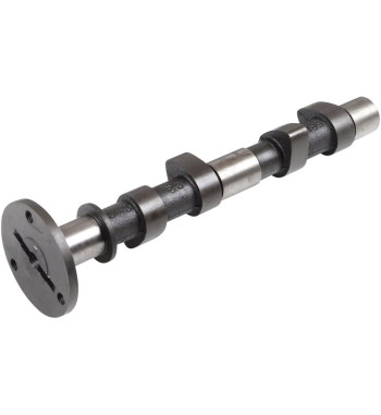 Engle racing master camshaft set II, W-110, dual springs, with phosphate coated cam followers with EDM hole