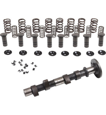 Engle racing master camshaft set II, W-100, dual springs, with phosphate coated cam followers