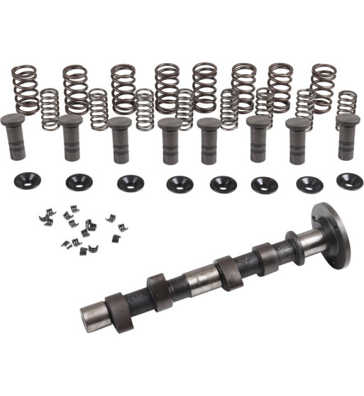 Engle racing master camshaft set II, W-100, dual springs, with phosphate coated cam followers