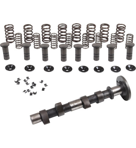 Engle racing master camshaft set II, W-100, dual springs, with phosphate coated cam followers