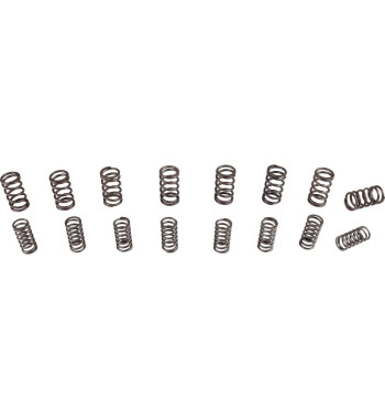 Valve spring set, dual, High Performance, 8 pieces