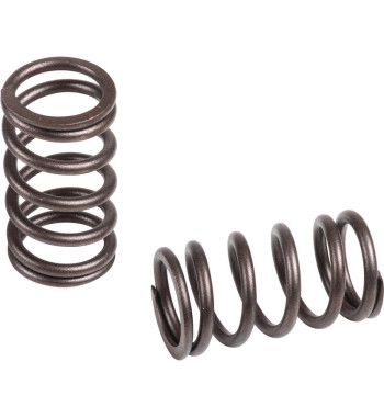 Valve spring set, dual, High Performance, 8 pieces