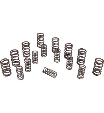 Valve spring set, dual, High Performance, 8 pieces