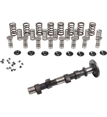Engle racing master camshaft set II, W-100, dual springs