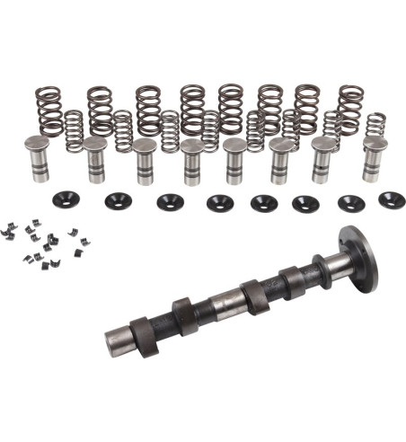 Engle racing master camshaft set II, W-100, dual springs