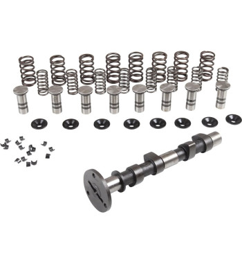Engle racing master camshaft set II, W-100, dual springs