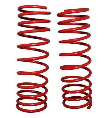 Zestaw sprężyn obniżających, 60 mm, bez TÜV, 2 sztuki 8142200116
