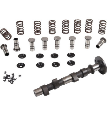 Engle racing master camshaft set, W-100, single springs, with standard cam followers
