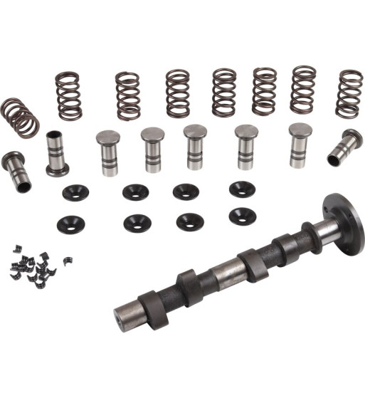 Engle racing master camshaft set, W-100, single springs, with standard cam followers