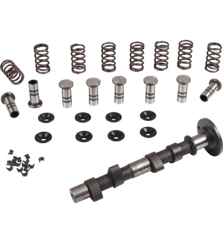 Engle racing master camshaft set, W-100, single springs, with standard cam followers