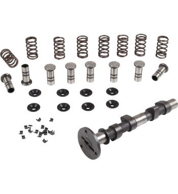 Engle racing master camshaft set, W-100, single springs, with standard cam followers