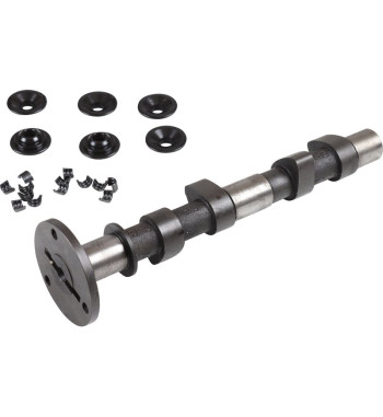 Engle racing master camshaft set, W-100, single springs, with standard cam followers