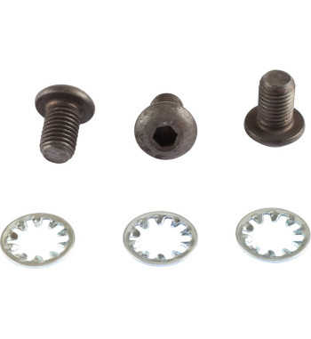 Button head bolt and washer set for camshaft gear