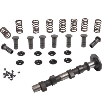 Engle racing master camshaft set, W-100, single springs, with phosphate coated cam followers