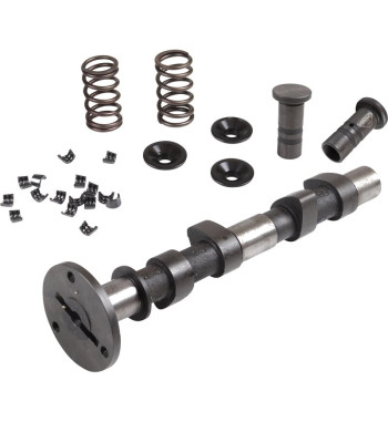 Engle racing master camshaft set, W-100, single springs, with phosphate coated cam followers