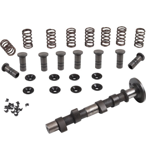 Engle racing master camshaft set, W-110, single springs, with phosphate coated cam followers