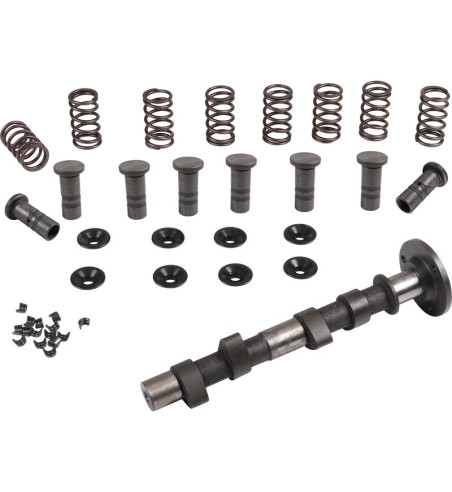 Engle racing master camshaft set, W-110, single springs, with phosphate coated cam followers