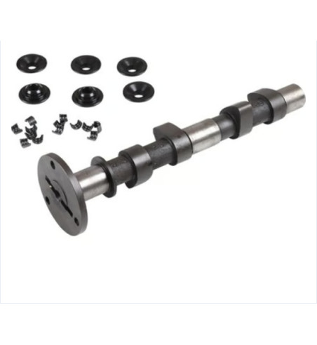 Engle racing master camshaft set, W-120, single springs, with standard cam followers