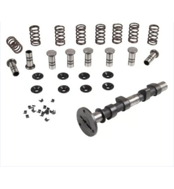 Engle racing master camshaft set, W-120, single springs, with standard cam followers