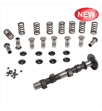 Engle racing master camshaft set, W-120, single springs, with standard cam followers
