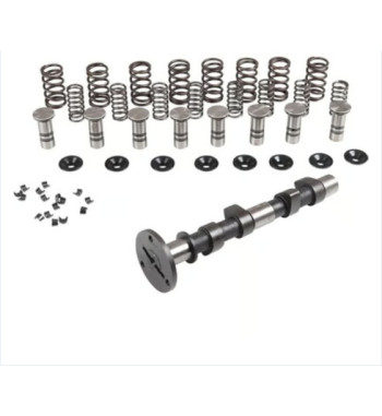 Engle racing master camshaft set II, W-110, dual springs, with phosphate coated cam followers