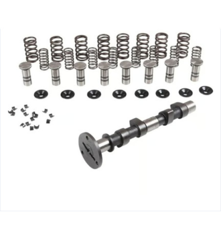 Engle racing master camshaft set II, W-110, dual springs, with phosphate coated cam followers