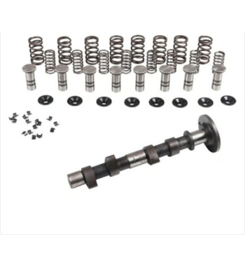 Engle racing master camshaft set II, W-110, dual springs, with phosphate coated cam followers
