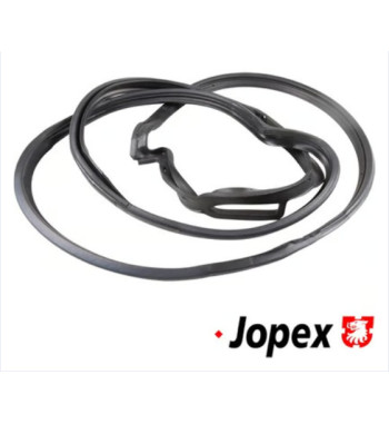 Door seal, front left