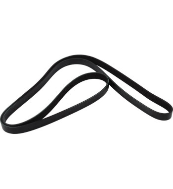 V-Ribbed Belt