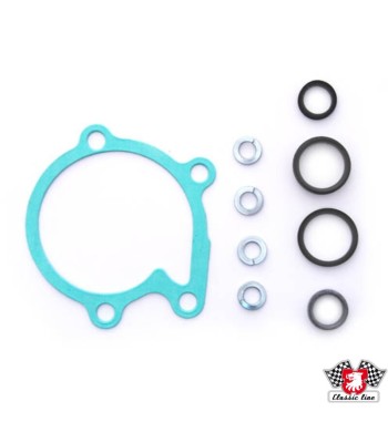Gasket Set, water pump with rubber rings