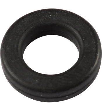 Seal Ring, injector