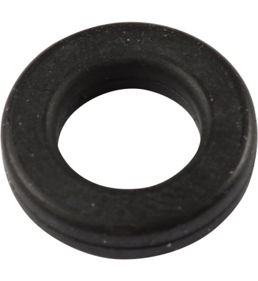 Seal Ring, injector